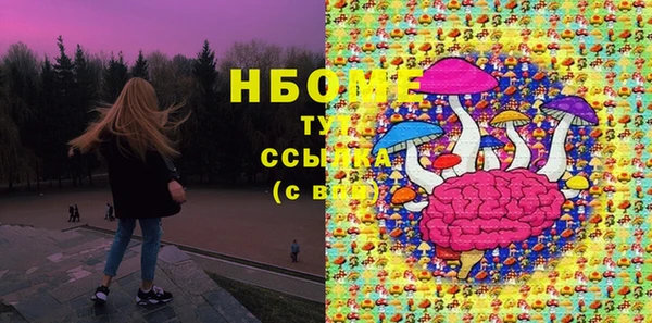 твердый Елабуга