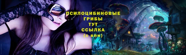 твердый Елабуга