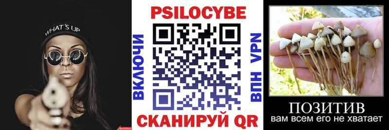 Купить закладки  Оханск  Псилоцибиновые грибы мухоморы 